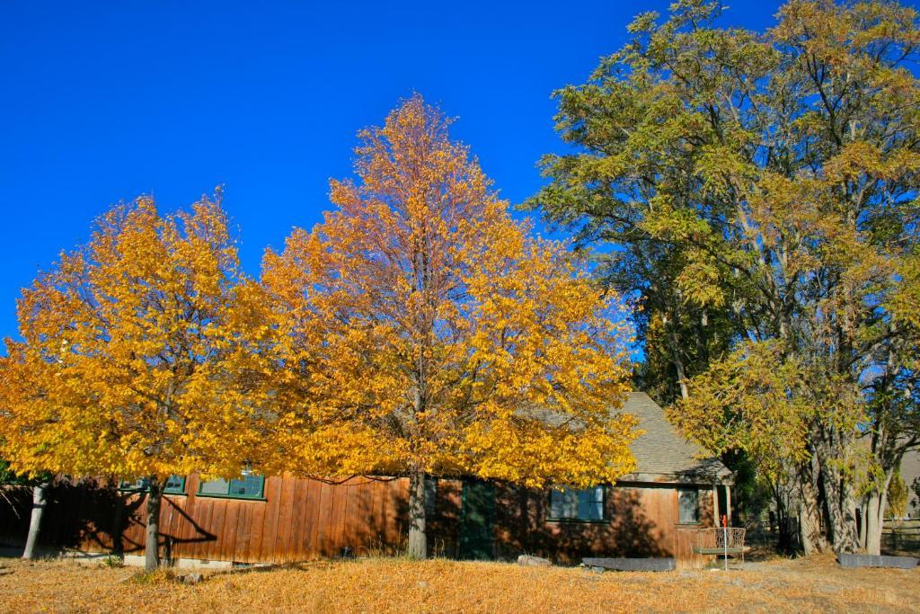 Old Pioneer Garden Country Inn Unionville المظهر الخارجي الصورة